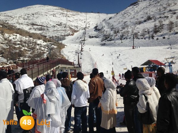 jabalelskheikhlud (75).JPG